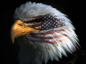 eagleheadflag.jpg